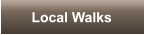 Local Walks