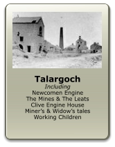 Talargoch Including Newcomen Engine The Mines & The Leats Clive Engine House Miner’s & Widow’s tales Working Children